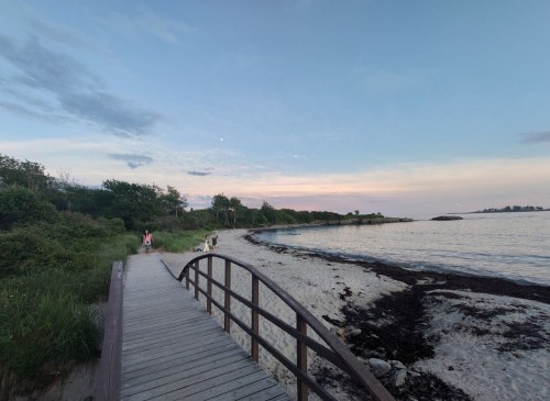A wooden walkway leads to a sandy beach with people walking, surrounded by greenery and a calm sea under a pastel sky.