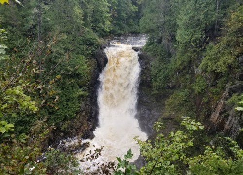 A cascading waterfall surrounded by lush green trees and rocky terrain, with foamy water flowing down.