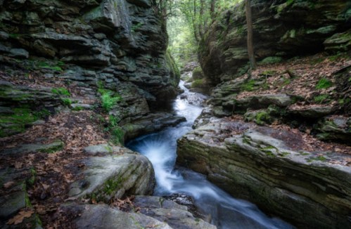 A serene stream flows through a rocky canyon, surrounded by lush greenery and fallen leaves.