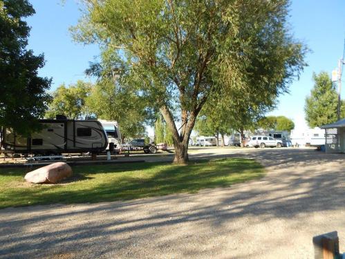 A campsite with RVs parked under trees, surrounded by grass and gravel paths on a sunny day.