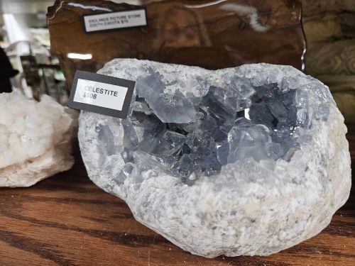 A geode of celestite with light blue crystals, displayed on a wooden surface with a price tag of $108.