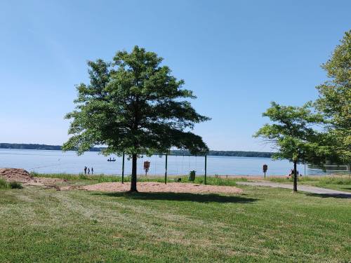 A serene lakeside view with two trees, a sandy area, and people enjoying the water in the background under a clear blue sky.