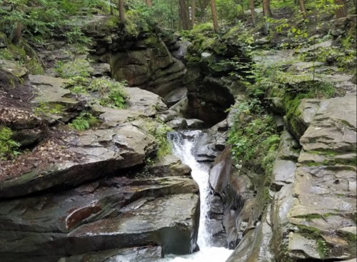 A serene waterfall cascades through rocky terrain, surrounded by lush greenery and tall trees.