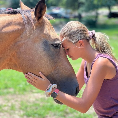 A girl gently touches foreheads with a horse in a sunny outdoor setting, showing a moment of connection.