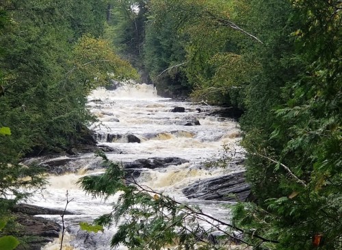 A rushing river flows over rocks, surrounded by lush green trees and foliage.