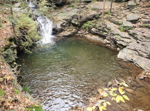 A serene forest scene featuring a small waterfall cascading into a clear pool surrounded by rocky terrain and autumn leaves.