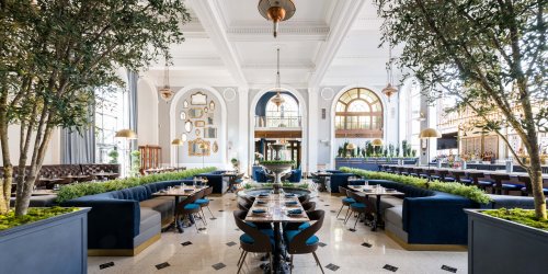 Elegant restaurant interior featuring plush seating, greenery, and large windows, creating a bright and inviting atmosphere.