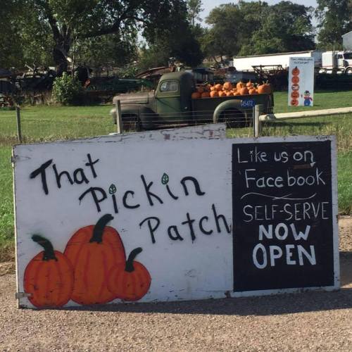 A sign for "That Pickin Patch" with pumpkins, advertising self-serve and a Facebook page, set in a rural area.