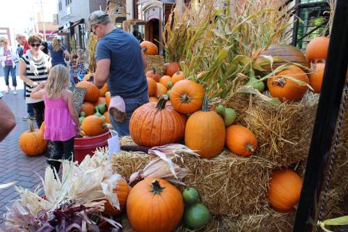 A vibrant autumn scene with pumpkins and corn displayed on hay bales in a bustling outdoor market.
