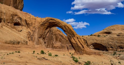 Natural rock arch against a clear blue sky, surrounded by rugged desert terrain and scattered greenery.