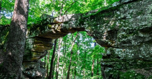 A natural stone arch surrounded by lush green trees in a forest setting.