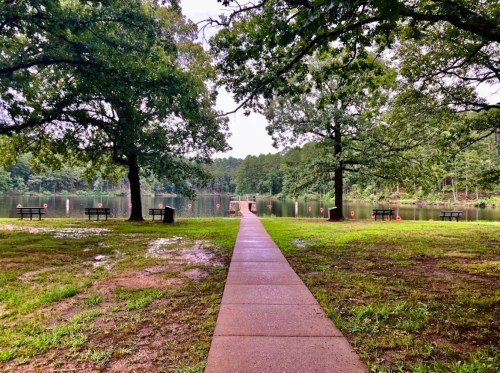 A serene path leads to a calm lake, surrounded by trees and benches, under a cloudy sky.