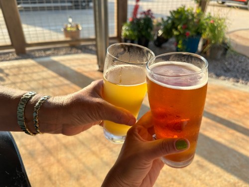Two hands clink glasses of beer, one light and one amber, against a sunny outdoor backdrop.