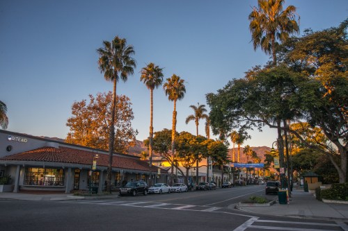 A tree-lined street at sunset, featuring palm trees, shops, and parked cars under a clear blue sky.