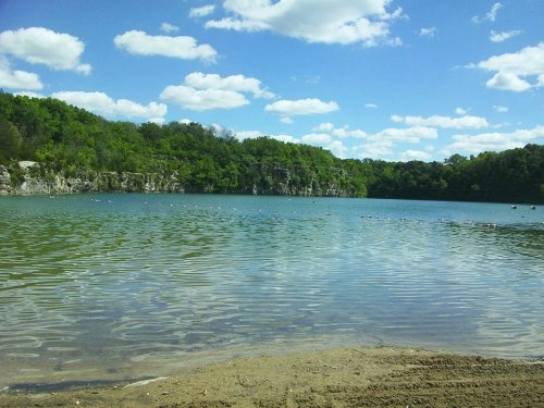 A serene lake surrounded by lush green trees under a blue sky with fluffy white clouds.