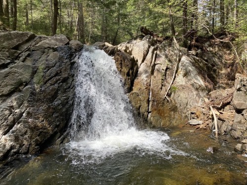 A small waterfall cascades over rocky terrain into a serene pool, surrounded by lush green trees in a forest setting.
