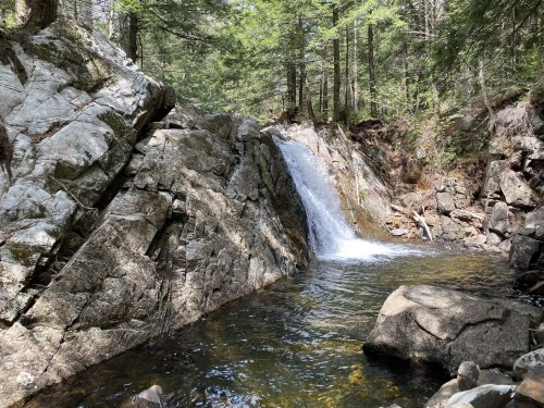 A serene waterfall cascades over rocky terrain, surrounded by lush green trees in a peaceful forest setting.