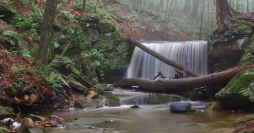 A serene waterfall cascades over rocks, surrounded by lush greenery and misty forest in a tranquil setting.