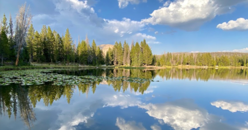 A serene lake surrounded by trees, reflecting clouds and mountains under a blue sky.