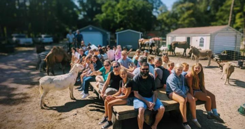 A large group of people sitting on a bench at a farm, surrounded by animals and buildings in a sunny outdoor setting.
