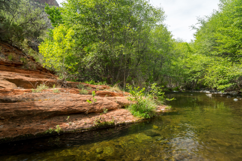 a creek runs past a rock formation and green trees in arizona