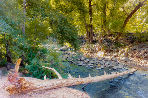 a log is set across a creek at grasshopper point in sedona az