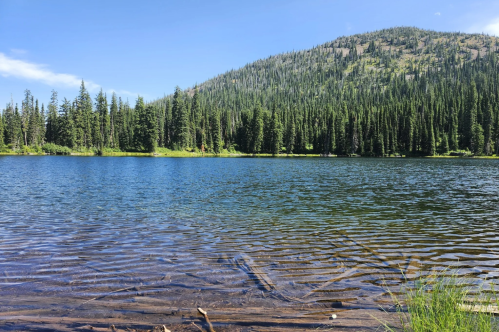 A serene lake surrounded by lush green trees and a mountain under a clear blue sky.