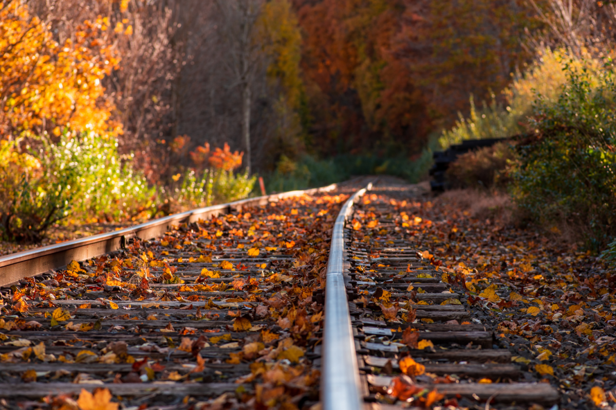 7 Best Fall Train Rides in Wisconsin