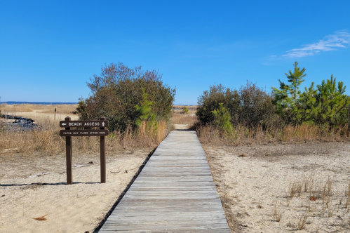 Wooden boardwalk leading to the beach at Flag Ponds Nature Park under a clear blue sky, with sign for beach access.