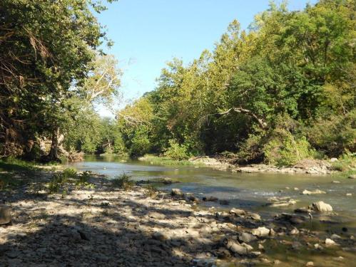 A serene river flows through a lush green landscape, surrounded by trees and rocky banks under a clear blue sky.