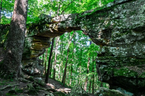A natural stone arch surrounded by lush green trees in a forest setting.