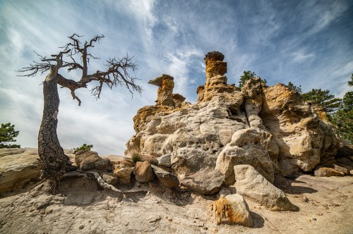 A barren tree stands beside unique rock formations under a cloudy sky, showcasing a rugged natural landscape.