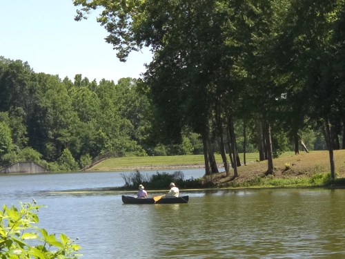 Two people canoeing on a calm lake surrounded by lush green trees and a grassy shore.