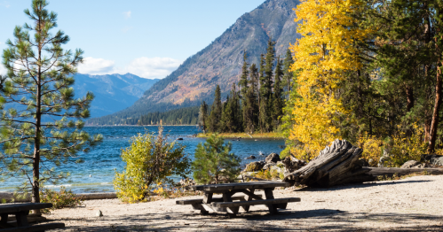 A picnic table sits along the bank of a Washington lake that is surrounded by green trees and fall foliage.