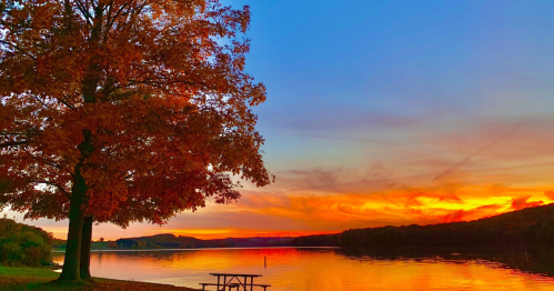 A vibrant sunset over a calm lake, with a tree in autumn colors and a picnic table by the water's edge.