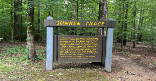 Sign for "Sunken Trace" trail in a wooded area, detailing its historical significance and preservation efforts.