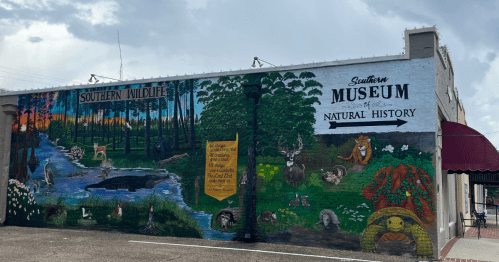 Mural depicting Southern wildlife and nature, featuring animals, a river, and the Southern Museum of Natural History.