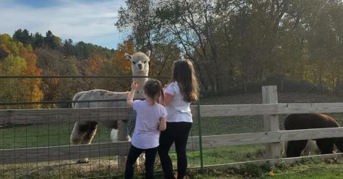 Two children feed an alpaca at a farm, surrounded by trees with autumn foliage in the background.