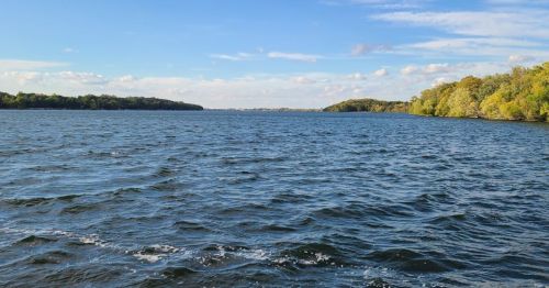 A serene view of a calm lake with gentle waves, surrounded by trees and a clear blue sky.