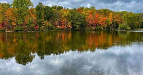 A serene lake reflecting vibrant autumn foliage under a cloudy sky.