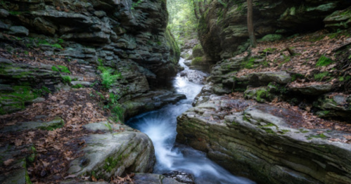 A serene stream flows through a rocky canyon, surrounded by lush greenery and fallen leaves.