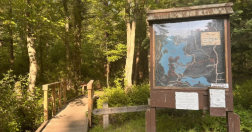 A wooden trail map sign stands beside a boardwalk in a lush, green forest.