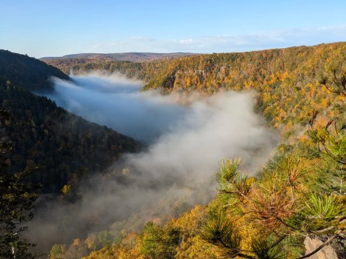 A misty valley surrounded by colorful autumn trees under a clear blue sky.