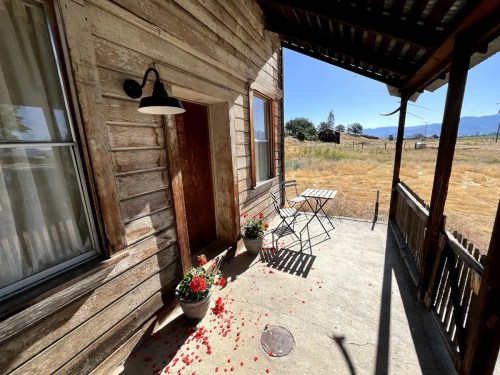 A rustic porch with a wooden door, potted flowers, and rose petals scattered on the floor, overlooking a sunny field.