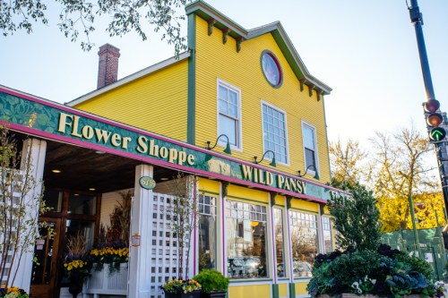 Bright yellow flower shop with "Wild Pansy" sign, adorned with plants and flowers, set against a clear blue sky.