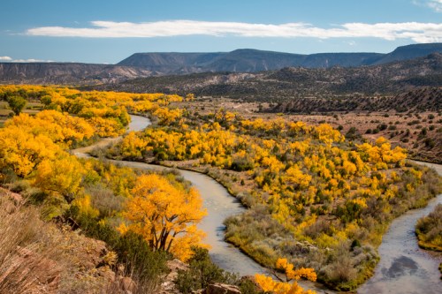 A winding river flows through vibrant yellow trees, set against a backdrop of mountains and blue sky.