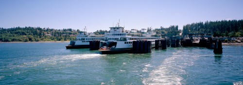 Two ferries docked at a pier surrounded by lush greenery and clear blue water on a sunny day.