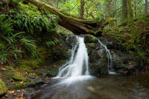 A serene waterfall cascades over rocks, surrounded by lush greenery and fallen logs in a tranquil forest setting.