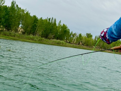 A person fishing from the shore, with a green fishing line cast over a calm lake surrounded by trees.