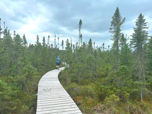 A person walks along a wooden boardwalk through a dense forest of evergreen trees under a cloudy sky.